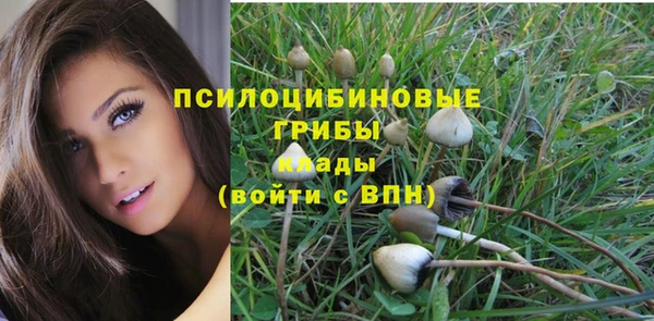 герыч Гусев